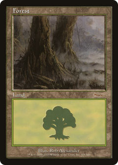 Forest - Arena 2003
