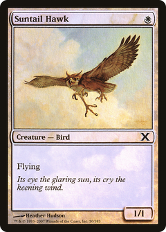 Suntail Hawk - Foil
