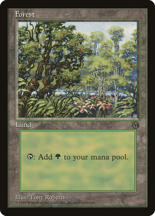 Forest - Arena 1996