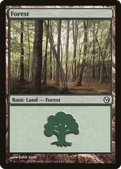 Forest (111)