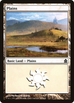 Plains (301)