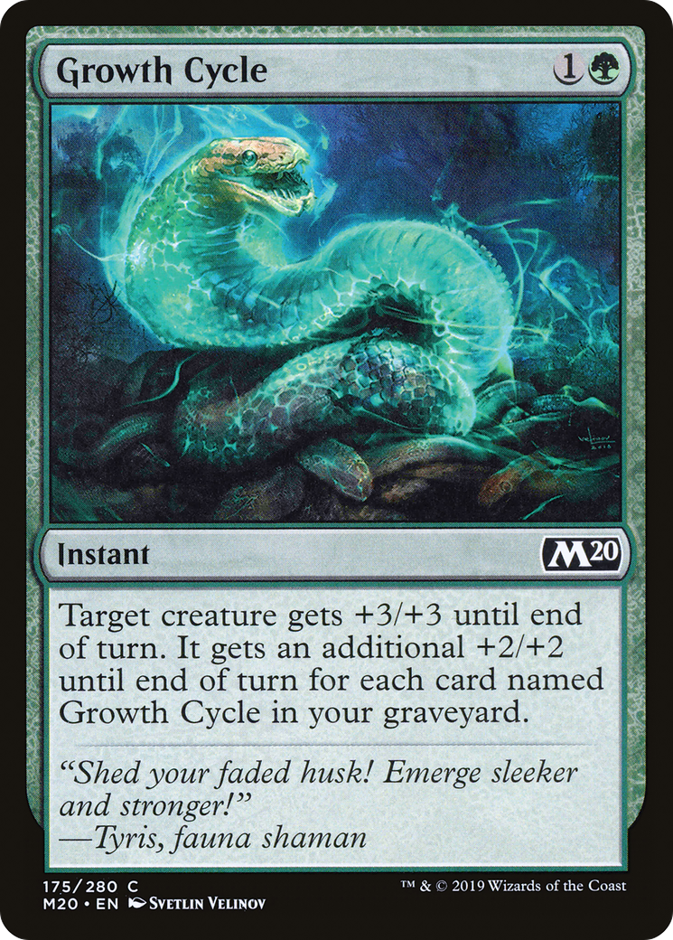 Growth Cycle - Foil