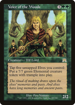 Voice of the Woods