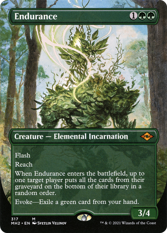 Endurance (317) (Borderless) - Foil