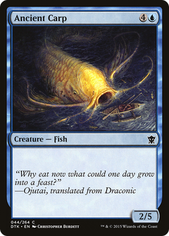 Ancient Carp - Foil