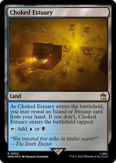 Choked Estuary (0852) - Surge Foil