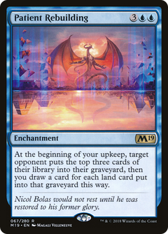 Patient Rebuilding - Foil