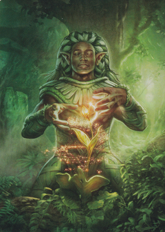 Elvish Mystic (41/81) Art Card