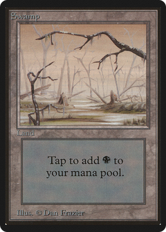 Swamp (High Branch)