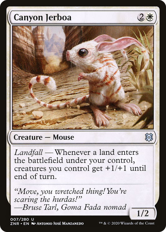 Canyon Jerboa - Foil