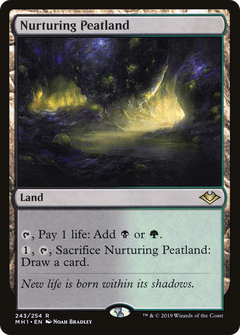 Nurturing Peatland - Foil