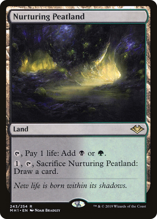 Nurturing Peatland - Foil
