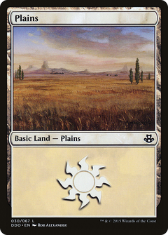 Plains (030)