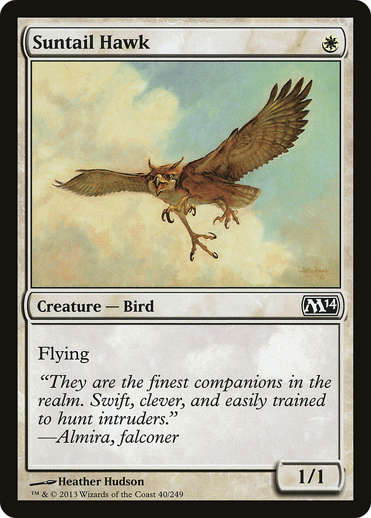 Suntail Hawk - Foil