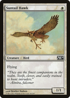 Suntail Hawk - Foil