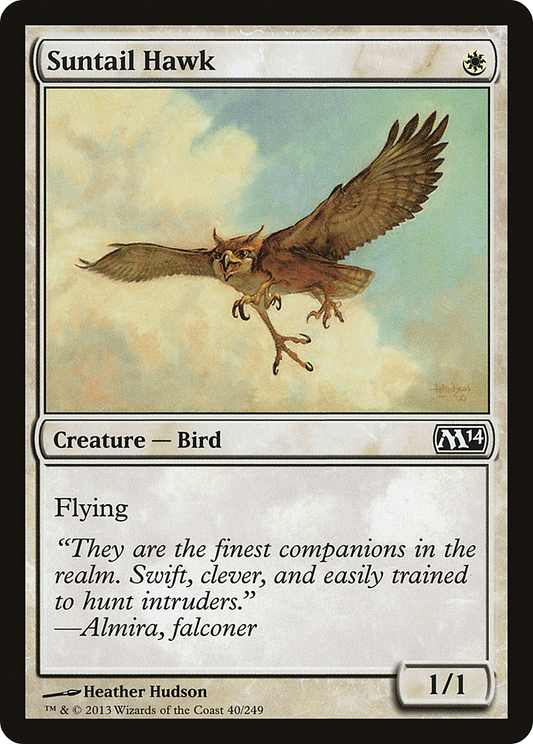 Suntail Hawk - Foil