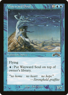 Wayward Soul