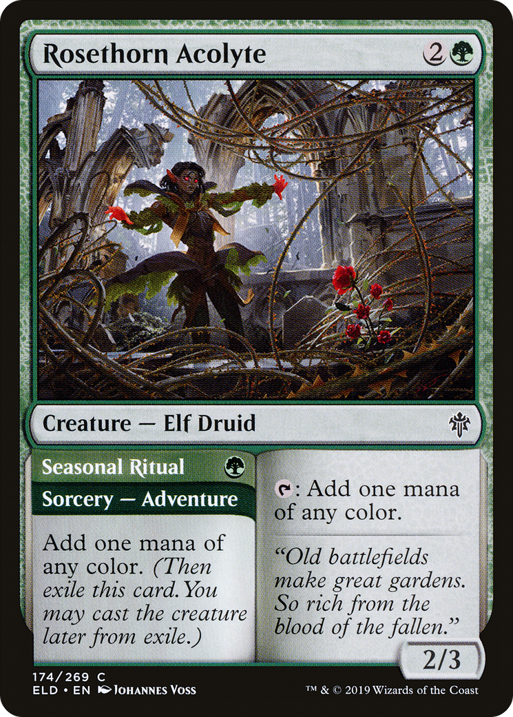 Rosethorn Acolyte // Seasonal Ritual - Foil