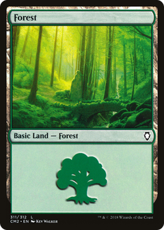 Forest (311)