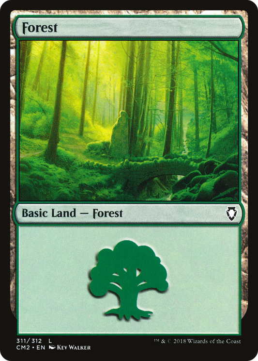 Forest (311)
