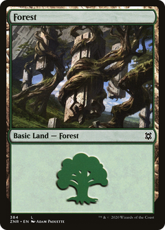 Forest (384)