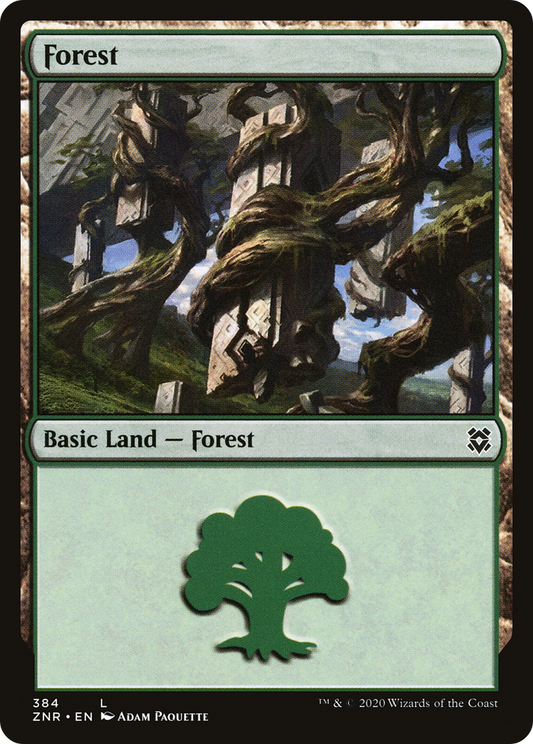 Forest (384)