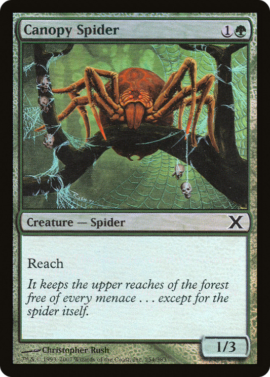 Canopy Spider - Foil