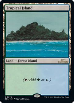 Tropical Island (Modern Frame)
