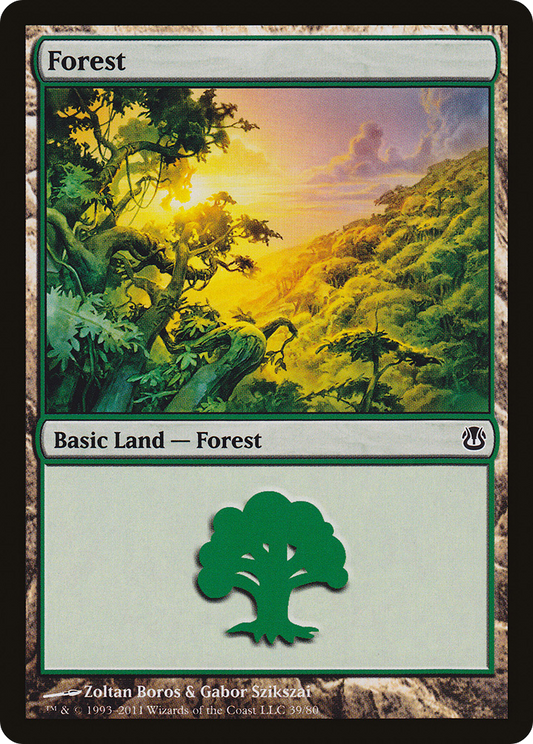 Forest (39)