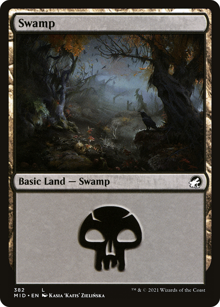 Swamp (382)