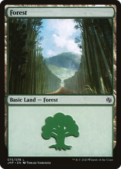Forest (075)