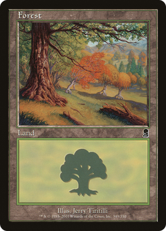Forest (349)