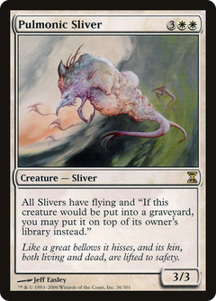 Pulmonic Sliver - Foil