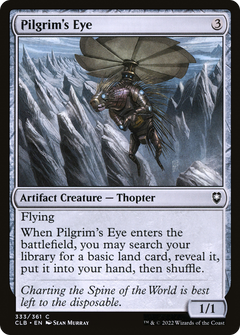 Pilgrim's Eye