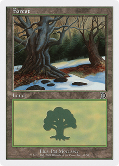 Forest (49)