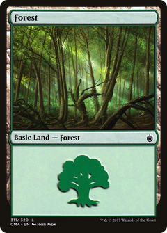 Forest (311)