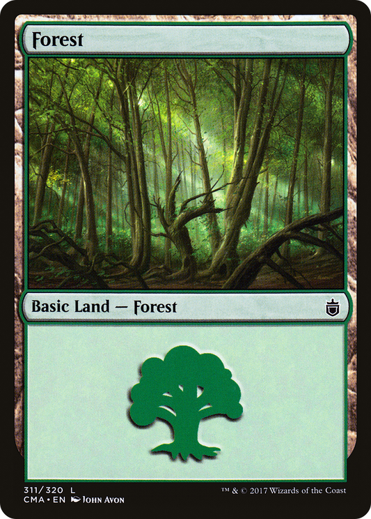 Forest (311)