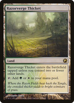 Razorverge Thicket - Foil