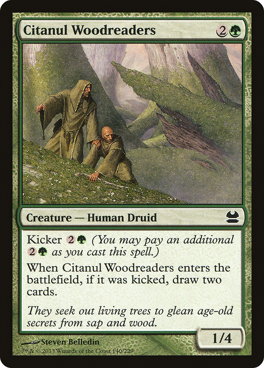 Citanul Woodreaders - Foil