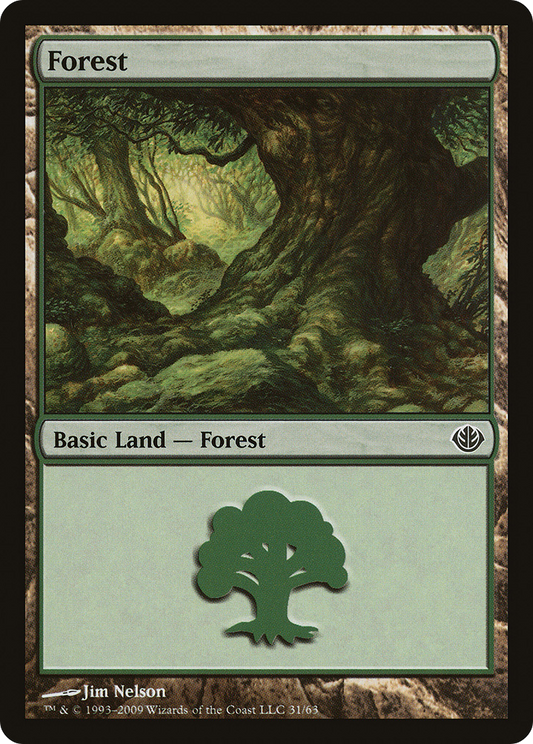 Forest (31)