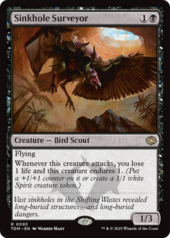 Sinkhole Surveyor - Foil