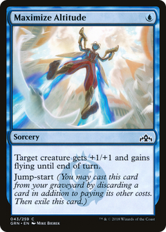 Maximize Altitude - Foil