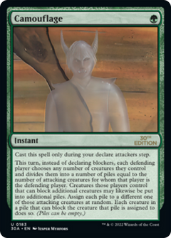 Camouflage (Modern Frame)