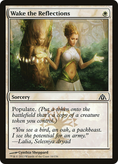 Wake the Reflections - Foil