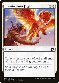 Spontaneous Flight - Foil