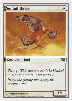 Suntail Hawk