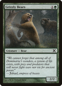 Grizzly Bears - Foil