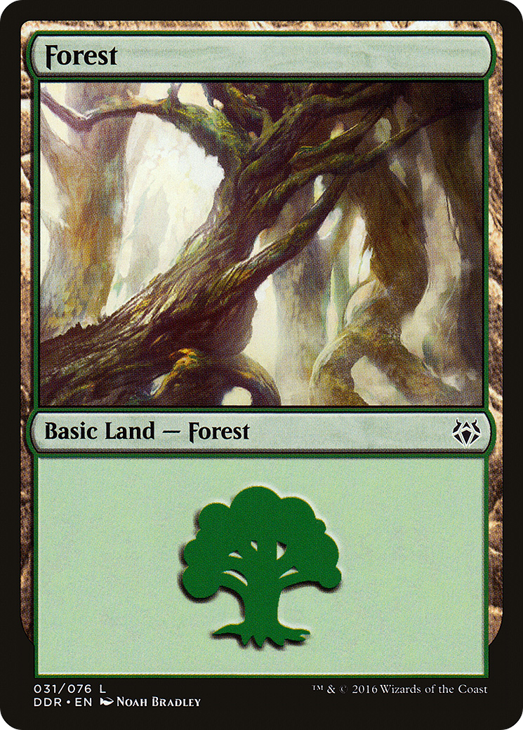 Forest (031)