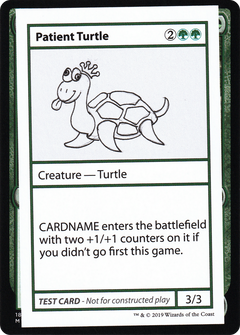 Patient Turtle (No PW Symbol)