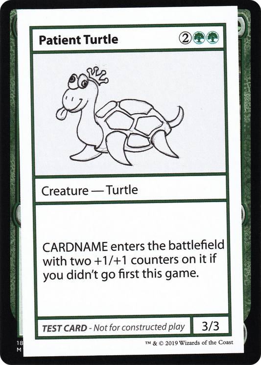 Patient Turtle (No PW Symbol)